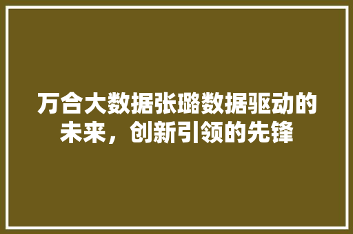 万合大数据张璐数据驱动的未来，创新引领的先锋
