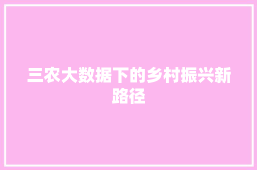 三农大数据下的乡村振兴新路径