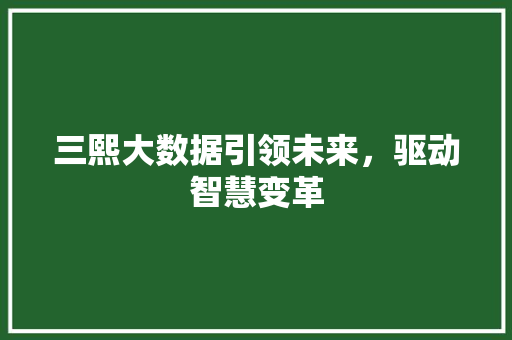 三熙大数据引领未来，驱动智慧变革
