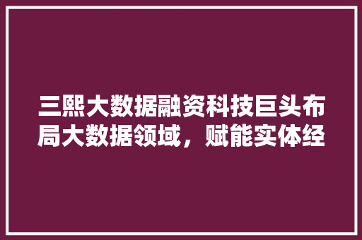 三熙大数据融资科技巨头布局大数据领域，赋能实体经济新篇章