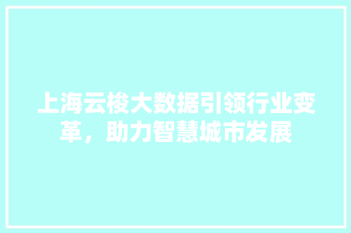 上海云梭大数据引领行业变革，助力智慧城市发展