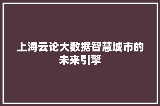 上海云论大数据智慧城市的未来引擎