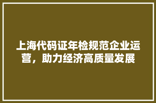 上海代码证年检规范企业运营，助力经济高质量发展