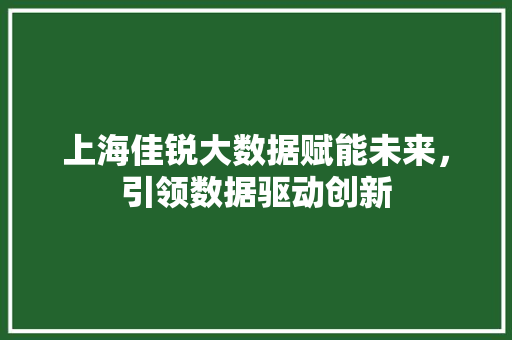 上海佳锐大数据赋能未来,引领数据驱动创新 上海佳锐大数据赋能未来,引领数据驱动创新