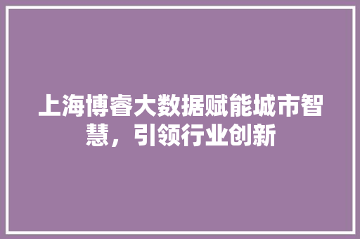 上海博睿大数据赋能城市智慧，引领行业创新
