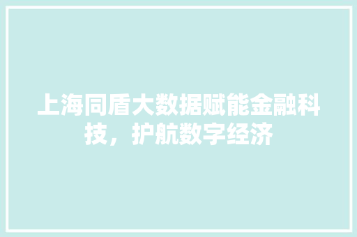 上海同盾大数据赋能金融科技，护航数字经济
