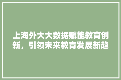 上海外大大数据赋能教育创新，引领未来教育发展新趋势 电脑基础