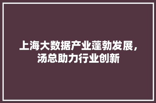 上海大数据产业蓬勃发展，汤总助力行业创新