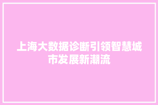上海大数据诊断引领智慧城市发展新潮流