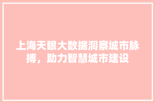 上海天眼大数据洞察城市脉搏，助力智慧城市建设