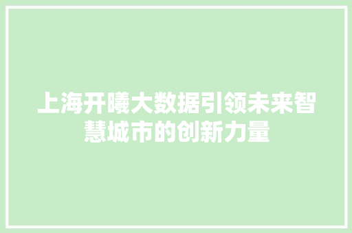 上海开曦大数据引领未来智慧城市的创新力量