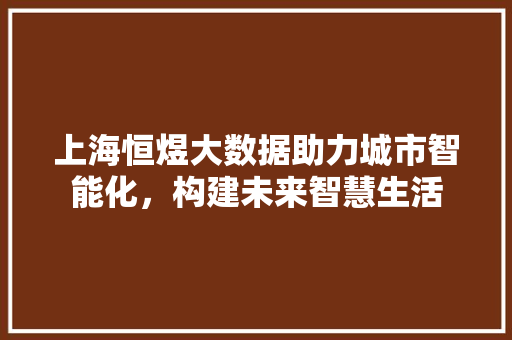 上海恒煜大数据助力城市智能化，构建未来智慧生活