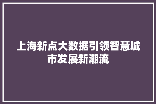 上海新点大数据引领智慧城市发展新潮流 电脑基础