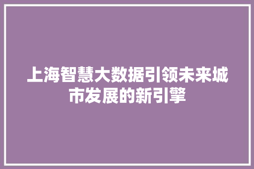 上海智慧大数据引领未来城市发展的新引擎