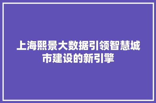 上海熙景大数据引领智慧城市建设的新引擎 网络技术