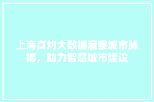 上海真灼大数据洞察城市脉搏，助力智慧城市建设