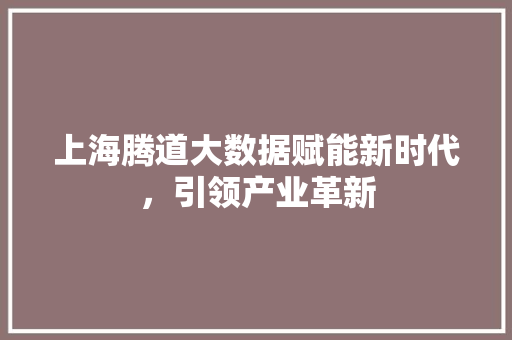 上海腾道大数据赋能新时代，引领产业革新