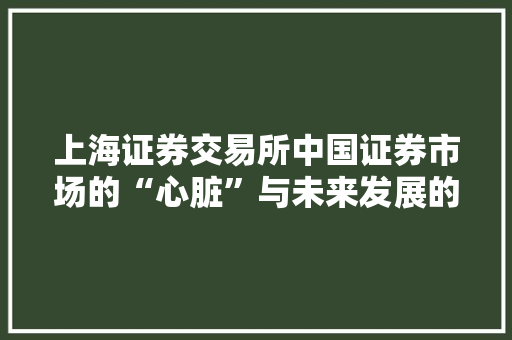 上海证券交易所中国证券市场的“心脏”与未来发展的引擎