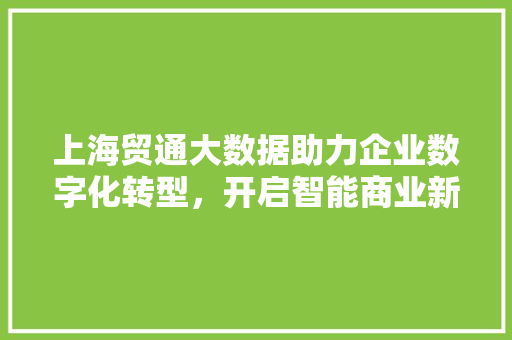 上海贸通大数据助力企业数字化转型，开启智能商业新时代
