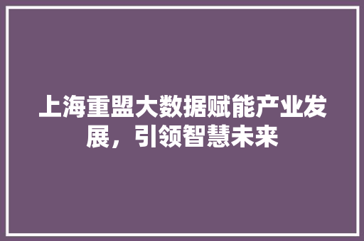 上海重盟大数据赋能产业发展，引领智慧未来