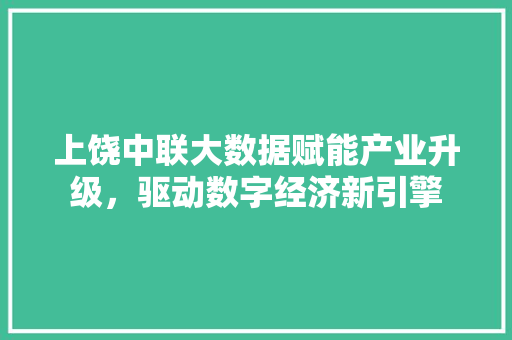 上饶中联大数据赋能产业升级,驱动数字经济新引擎 上饶中联大数据赋能产业升级,驱动数字经济新引擎