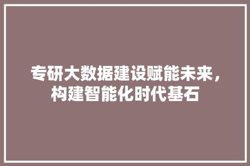 专研大数据建设赋能未来，构建智能化时代基石