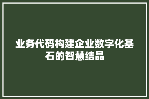 业务代码构建企业数字化基石的智慧结晶