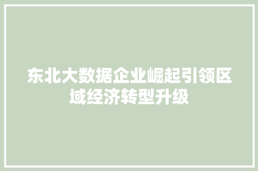 东北大数据企业崛起引领区域经济转型升级