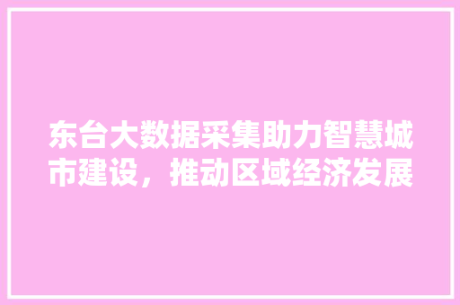东台大数据采集助力智慧城市建设，推动区域经济发展