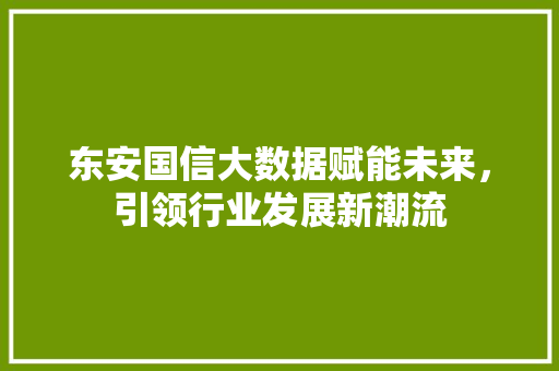 东安国信大数据赋能未来，引领行业发展新潮流