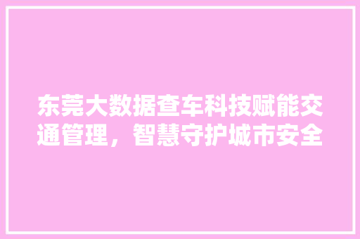 东莞大数据查车科技赋能交通管理，智慧守护城市安全