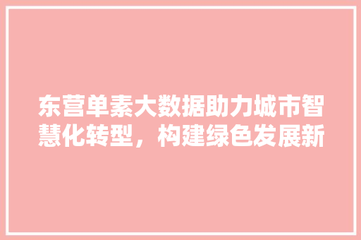 东营单素大数据助力城市智慧化转型，构建绿色发展新格局