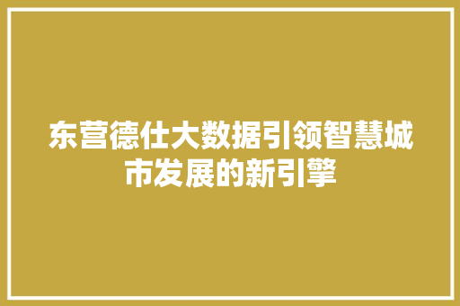 东营德仕大数据引领智慧城市发展的新引擎