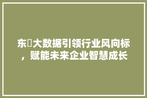 东蒄大数据引领行业风向标，赋能未来企业智慧成长