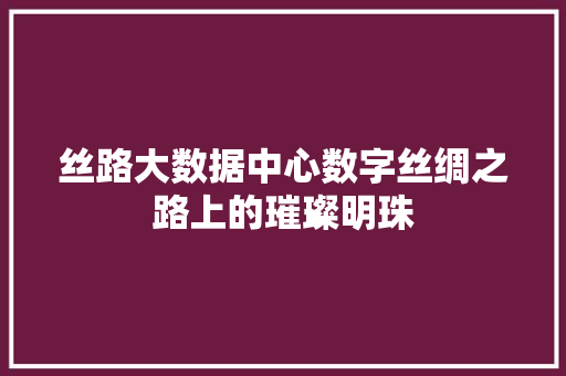 丝路大数据中心数字丝绸之路上的璀璨明珠