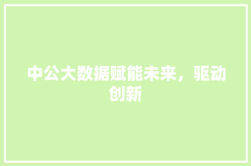 中公大数据赋能未来，驱动创新 电脑配置