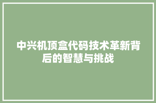 中兴机顶盒代码技术革新背后的智慧与挑战