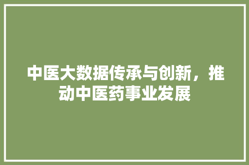 中医大数据传承与创新，推动中医药事业发展