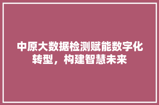 中原大数据检测赋能数字化转型，构建智慧未来