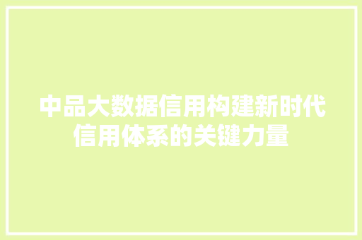 中品大数据信用构建新时代信用体系的关键力量