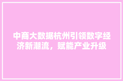 中商大数据杭州引领数字经济新潮流，赋能产业升级