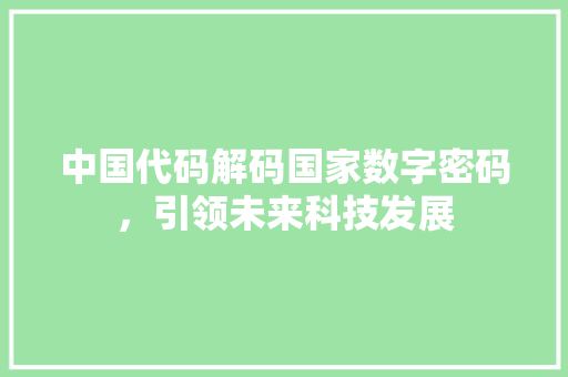 中国代码解码国家数字密码，引领未来科技发展
