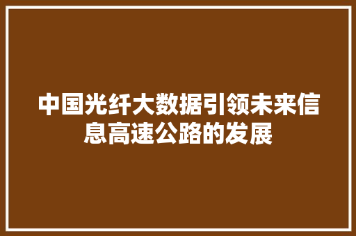 中国光纤大数据引领未来信息高速公路的发展