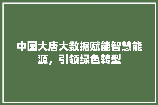 中国大唐大数据赋能智慧能源，引领绿色转型
