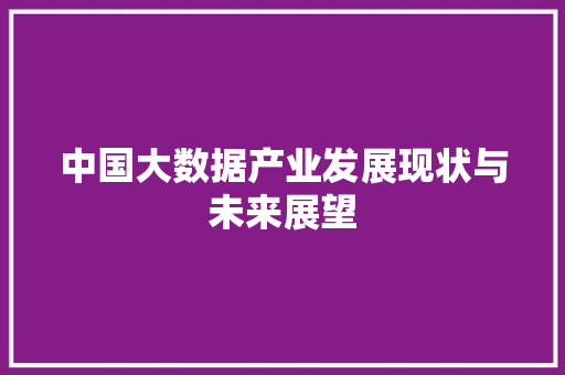中国大数据产业发展现状与未来展望