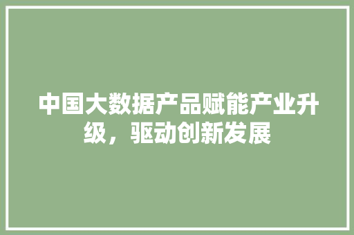 中国大数据产品赋能产业升级，驱动创新发展