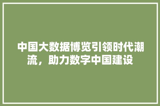 中国大数据博览引领时代潮流，助力数字中国建设