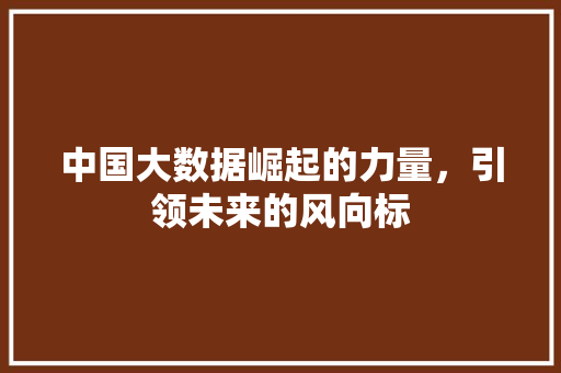 中国大数据崛起的力量,引领未来的风向标 中国大数据崛起的力量,引领未来的风向标