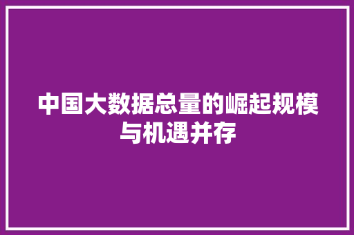 中国大数据总量的崛起规模与机遇并存