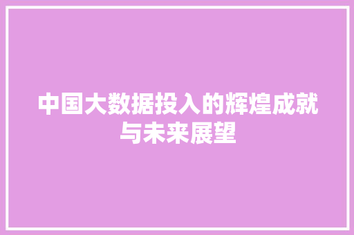 中国大数据投入的辉煌成就与未来展望